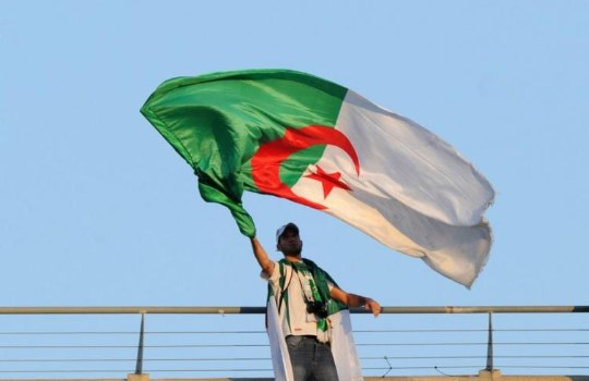 الجزائر تعيين نور الدين بدوي رئيسا