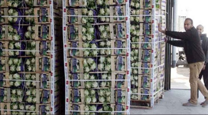 ابو حماد نقيبا لتجار ومصدري الخضار