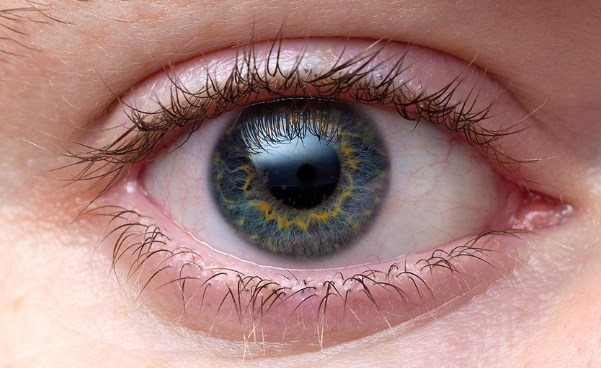 مستشفى «الزرقاء الحكومي» يدعو المحتاجين لزراعة