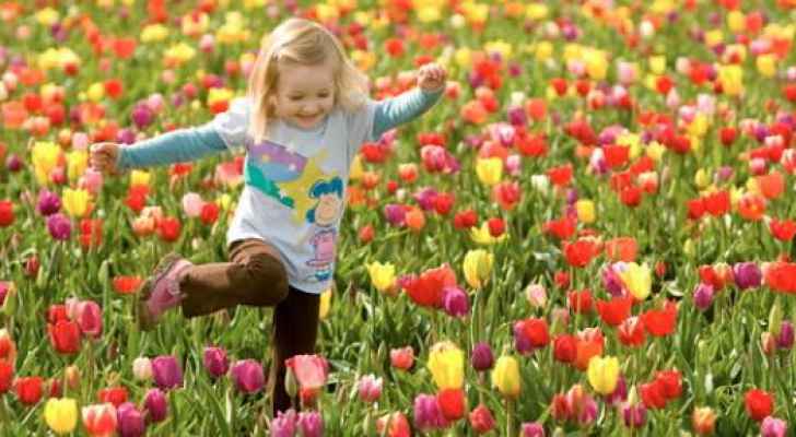 الأربعاء .. موعد الاعتدال الربيعي في