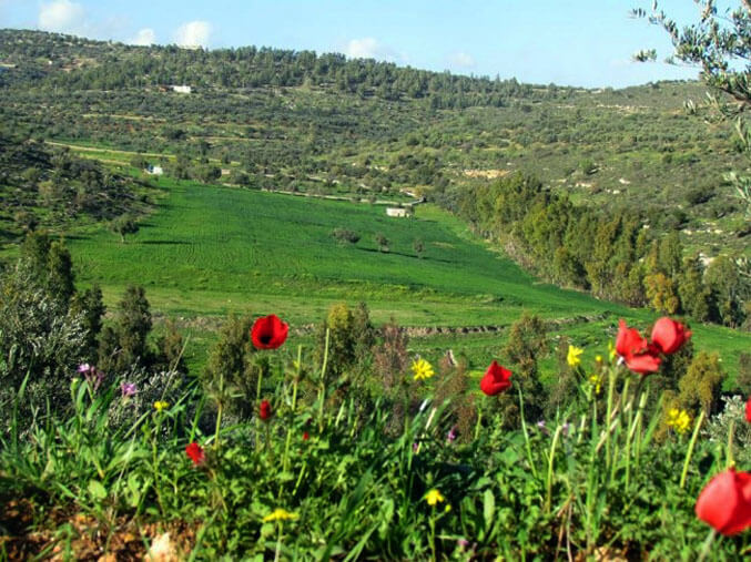 الاربعاء.. طقس ربيعي معتدل