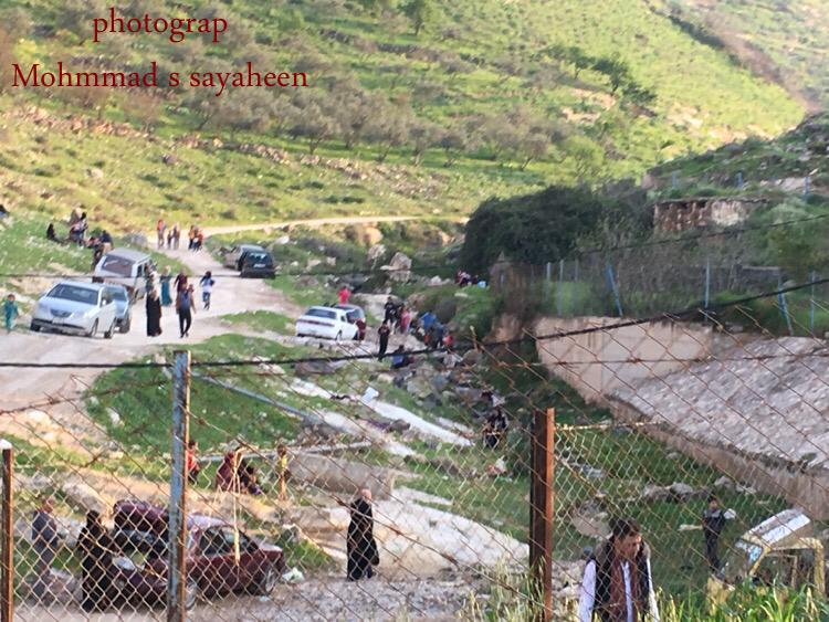 في وادي المغير راحوب بإربد (فيديو