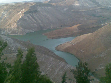 الرواشدة : ضرورة توافق سياسي اردني