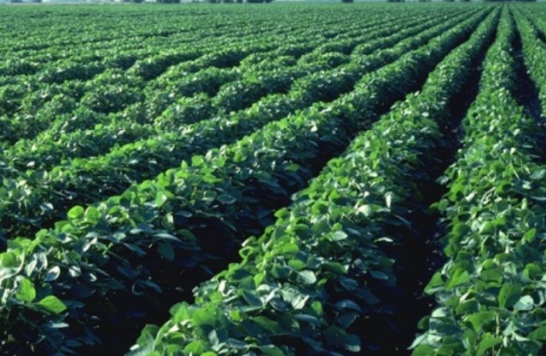 ورشة عمل لـ «التوجيهات العملية» للبرنامج