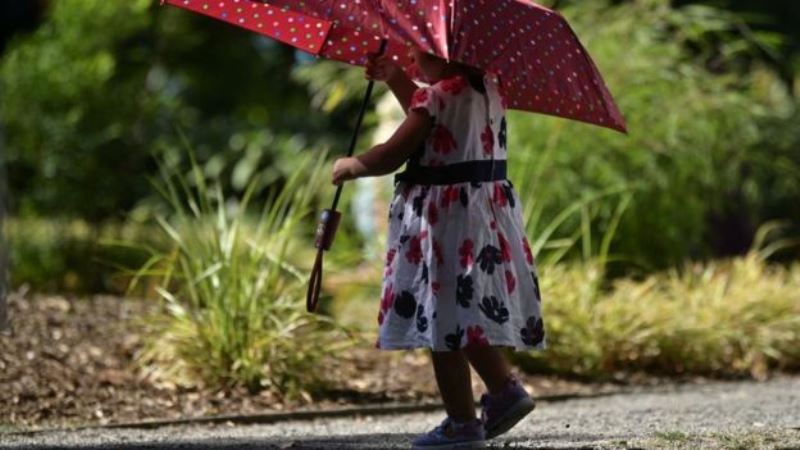 رئيس اللجنة الفرعية لنقابة المحامين بالزرقاء