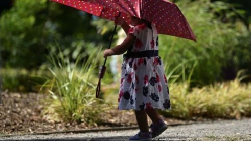 ابناء قبيلة بني حسن يرفضون دخالة