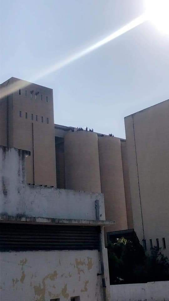 موظفو صوامع الجويدة يهددون بالانتحار الجماعي