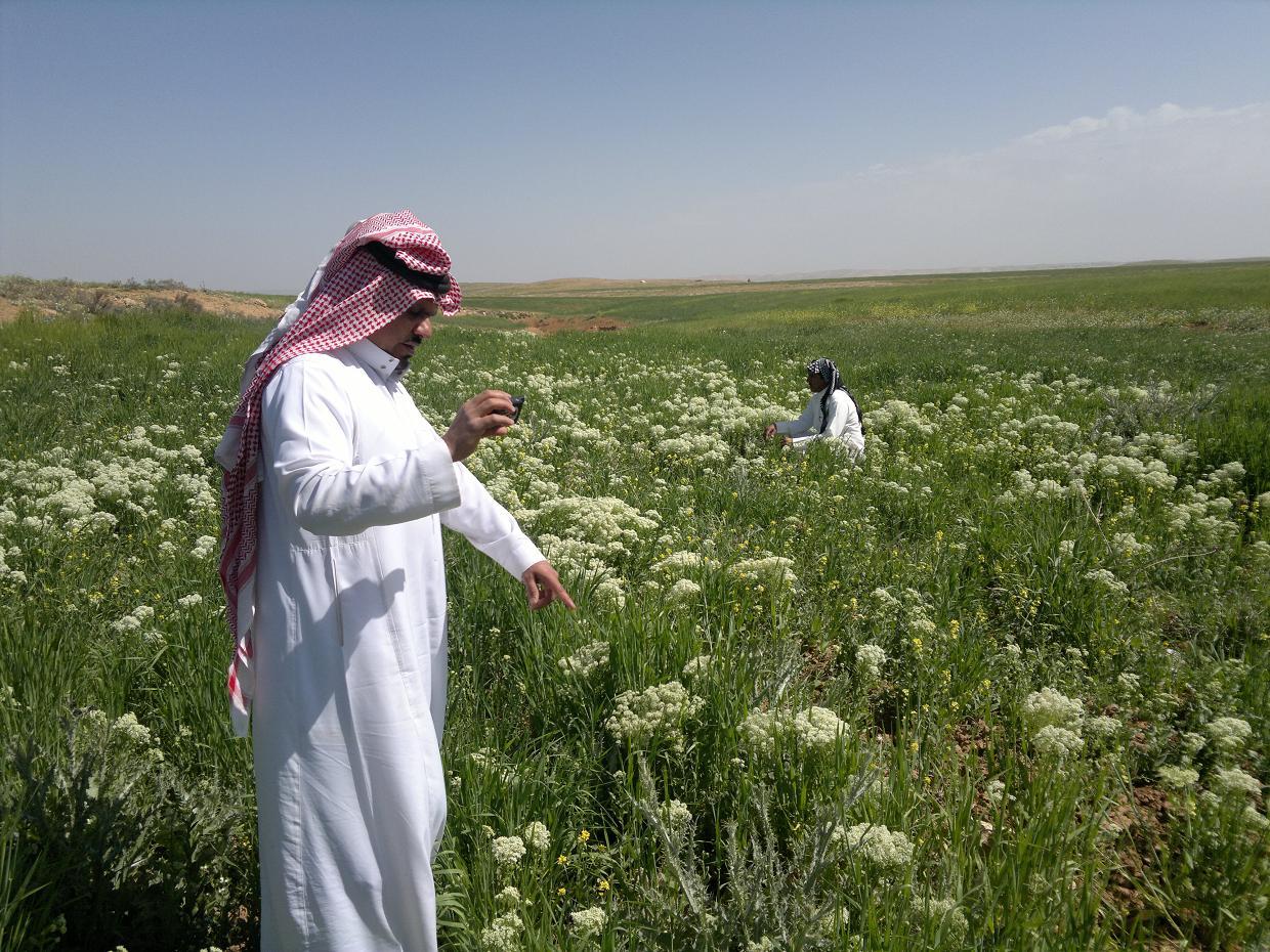 استمتعوا بأجواء عطلة نهاية الأسبوع وتعرفوا