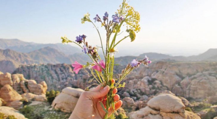 ارتفاع على درجات الحرارة حتى الأحد