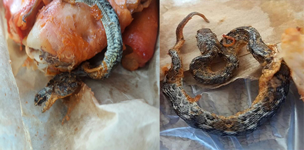 فيديو: مواطن يروي تفاصيل العثور على