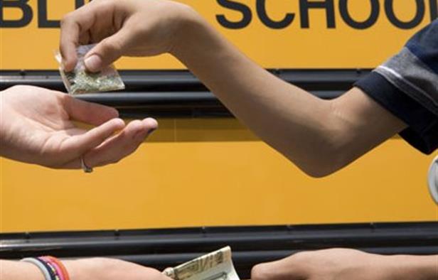 التنمية: 35 حدثا موقوفا بقضايا مخدرات