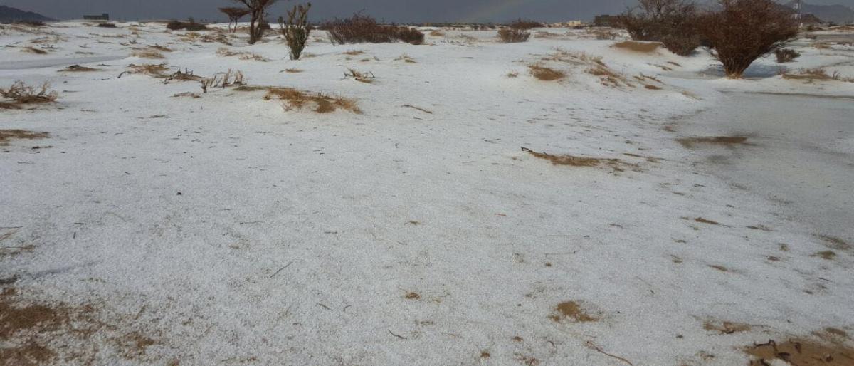 حدث نادر.. البرد يكسو أراضي في