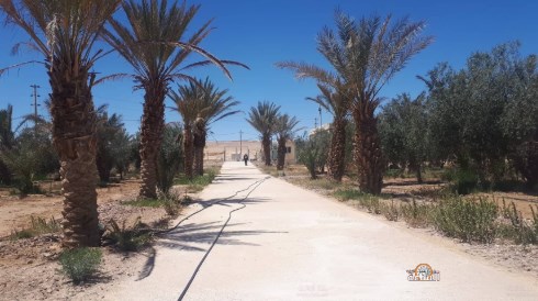 منتدى مؤتة للثقافة والتراث يختتم المبادرة