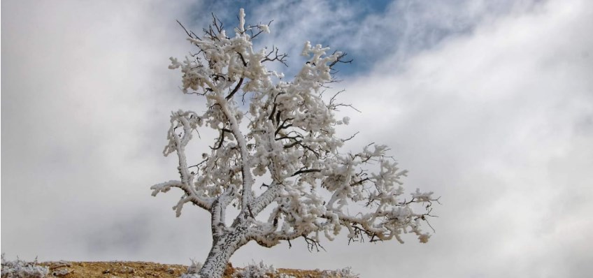 تحذيرات من «الصقيع»
