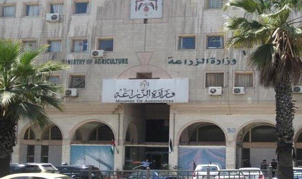 ظهور بؤر حمى قلاعية في عدد