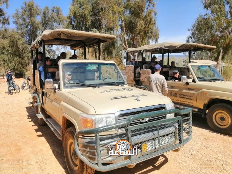 رحلات سفاري فريدة في محمية الشومري..