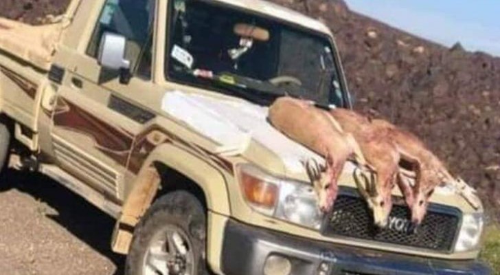 الجمعية الملكية لحماية الطبيعة تطالب بمحاسبة