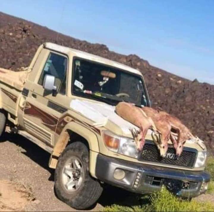 «الجمعية الملكية»: كيف دخل الصيادين لهذه