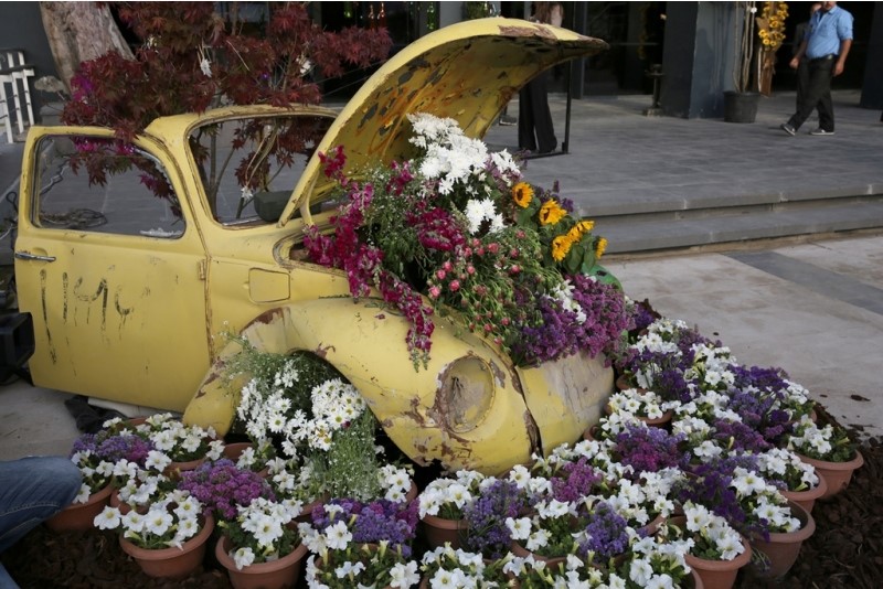 عمان تتزين بمعرض للأزهار (صور)