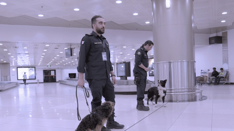 ”فساد“ كلاب الجمارك يثير سخرية النشطاء