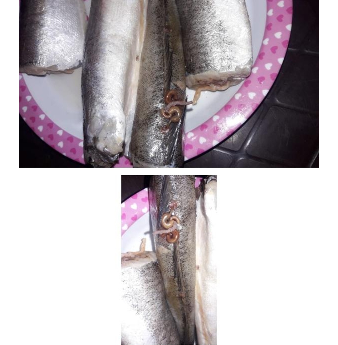 ديدان داخل السمك في «مول» بالزرقاء