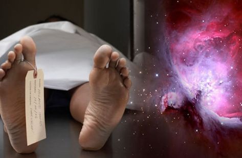 اكتشاف أول دليل علمي يثبت وجود