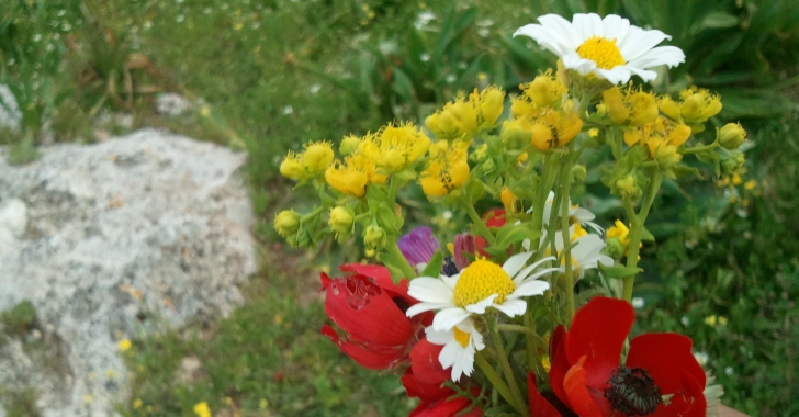 اجواء ربيعية دافئة