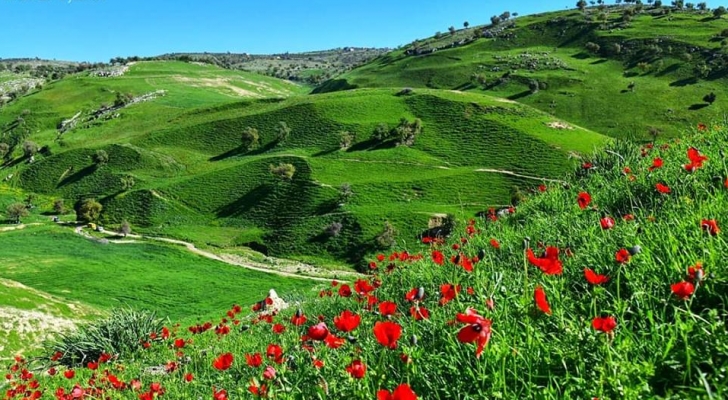 الحرارة اعلى من معدلاتها