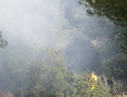 إخماد حريق أشجار نخيل وقصيب في