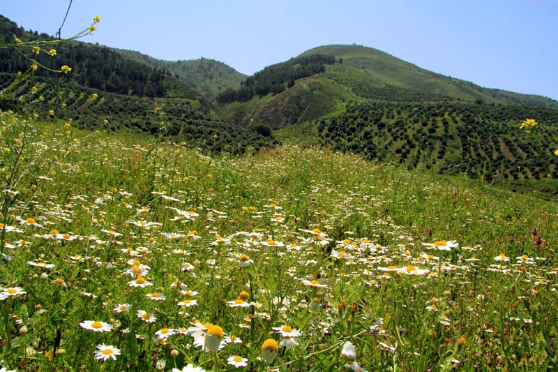 اجواء حارة ومغبرة