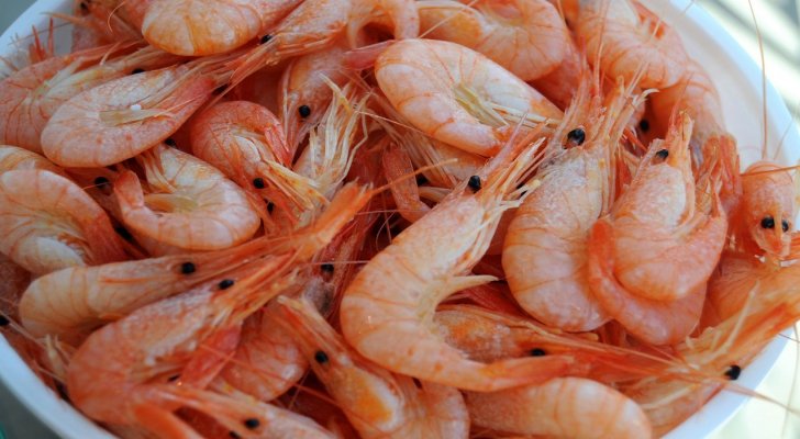 العثور على ’كوكايين‘ في الجمبري ببريطانيا