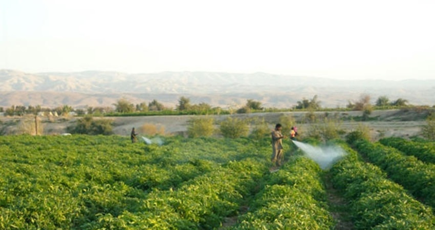عودة الرواشدة رئيسا للاتحاد العام للمزارعين
