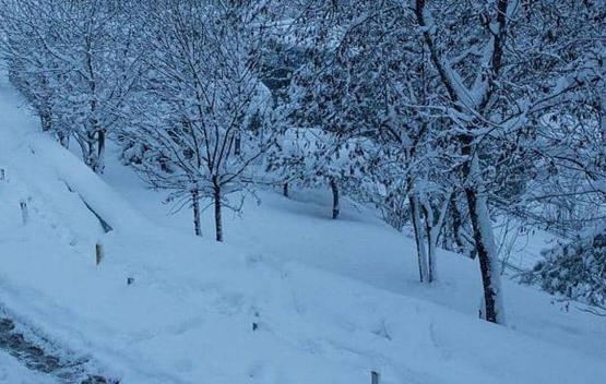 العثور على 6 مهاجرين ماتوا تجمدا