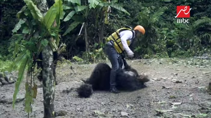 إصابة قوية لـ وائل جسار في