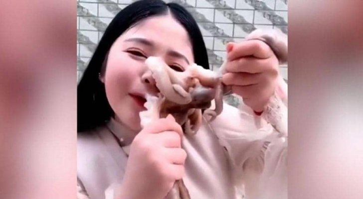 صينية حاولت أكل أخطبوط حي فنالت