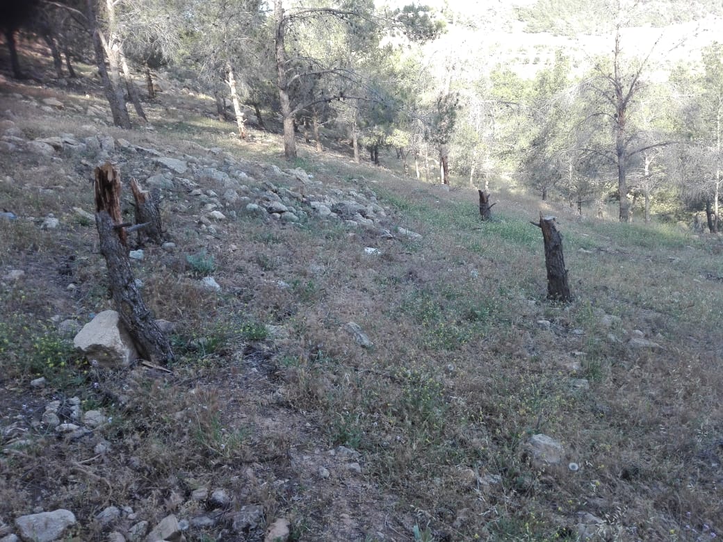 أمام مكتب وزير الزراعة :في حين