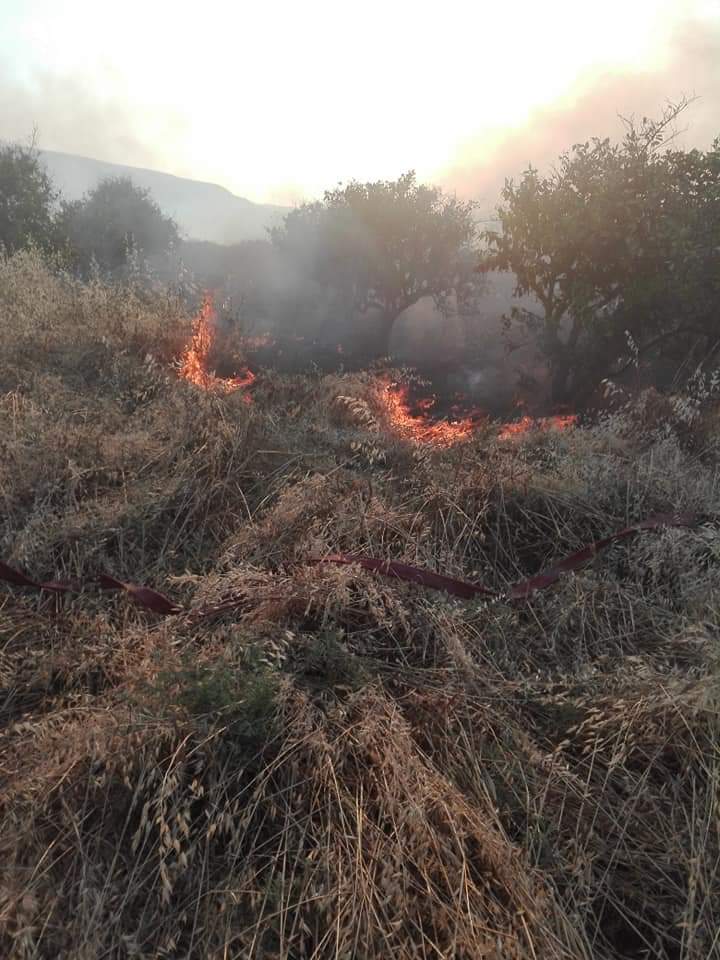 قبيل الإفطارحريق في الباقورة