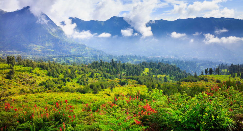 تعرف على قائمة الدول الأكثر جذبا