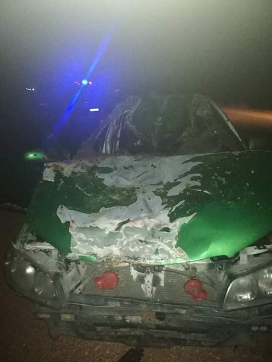 5 اصابات بتصادم مركبة مع جمل