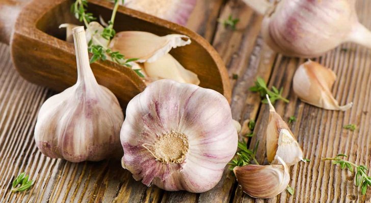 الثوم افضل علاج لأمراض الكبد