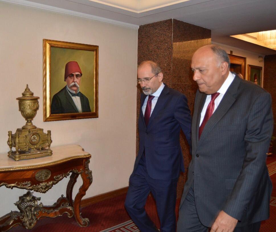 الصفدي يلتقي شكري في القاهرة.. ماذا