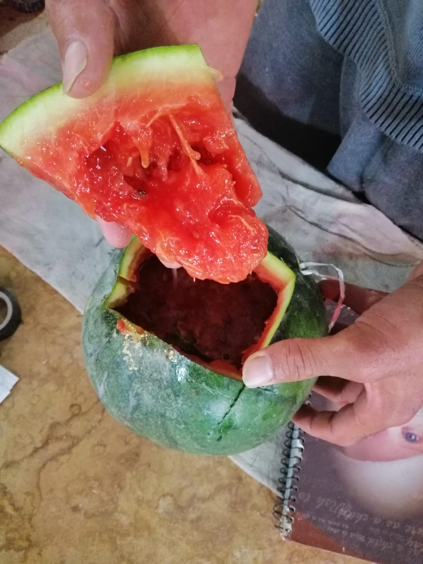 طن بطيخ وشمام غير صالحة معروضة