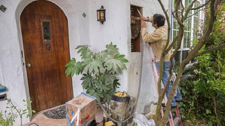 عاشا عامين مع 80 ألف نحلة