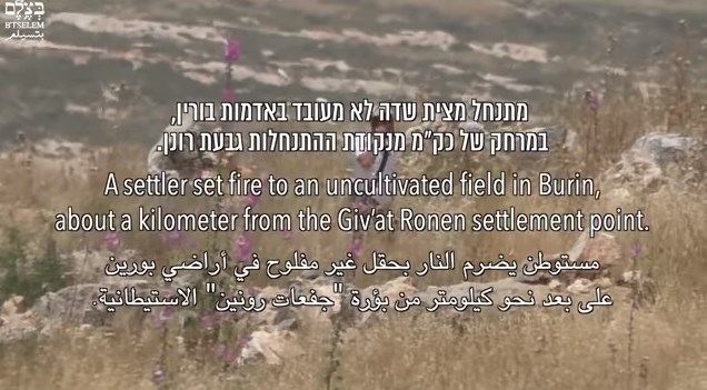 فيديو يفضح الجهة التي أحرقت حقول