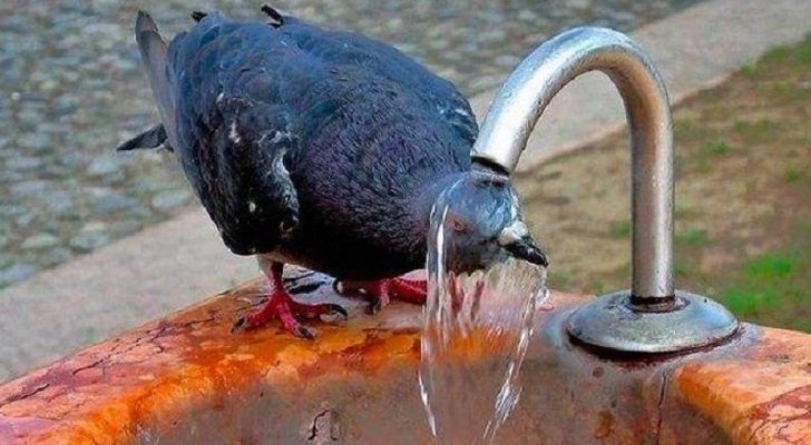 الأرصاد تكشف موعد إنتهاء موجة الحر