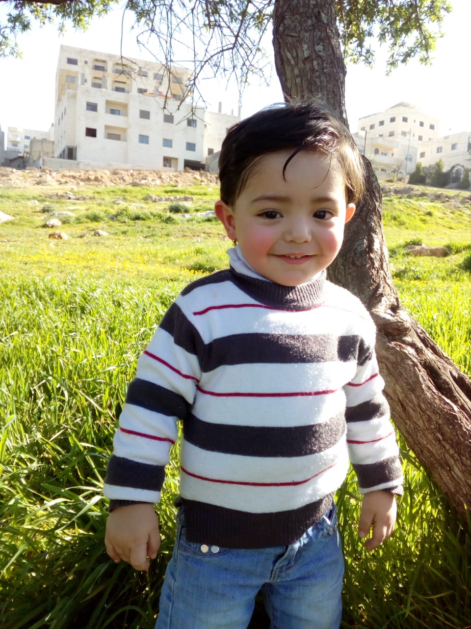 أمين والاستقلال