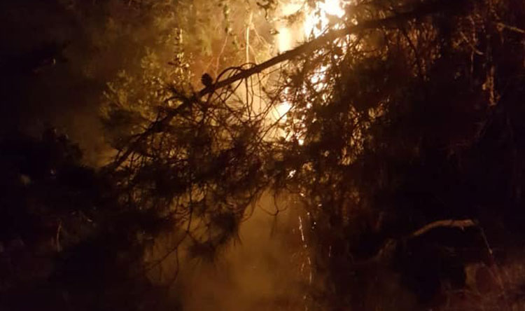 القوات المسلحة تساهم باخماد الحريق في