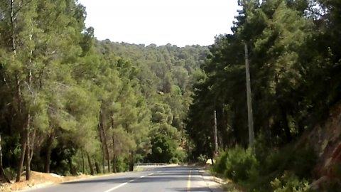 «الزراعة» تنفي تفويض وزيرها اراضي حرجية