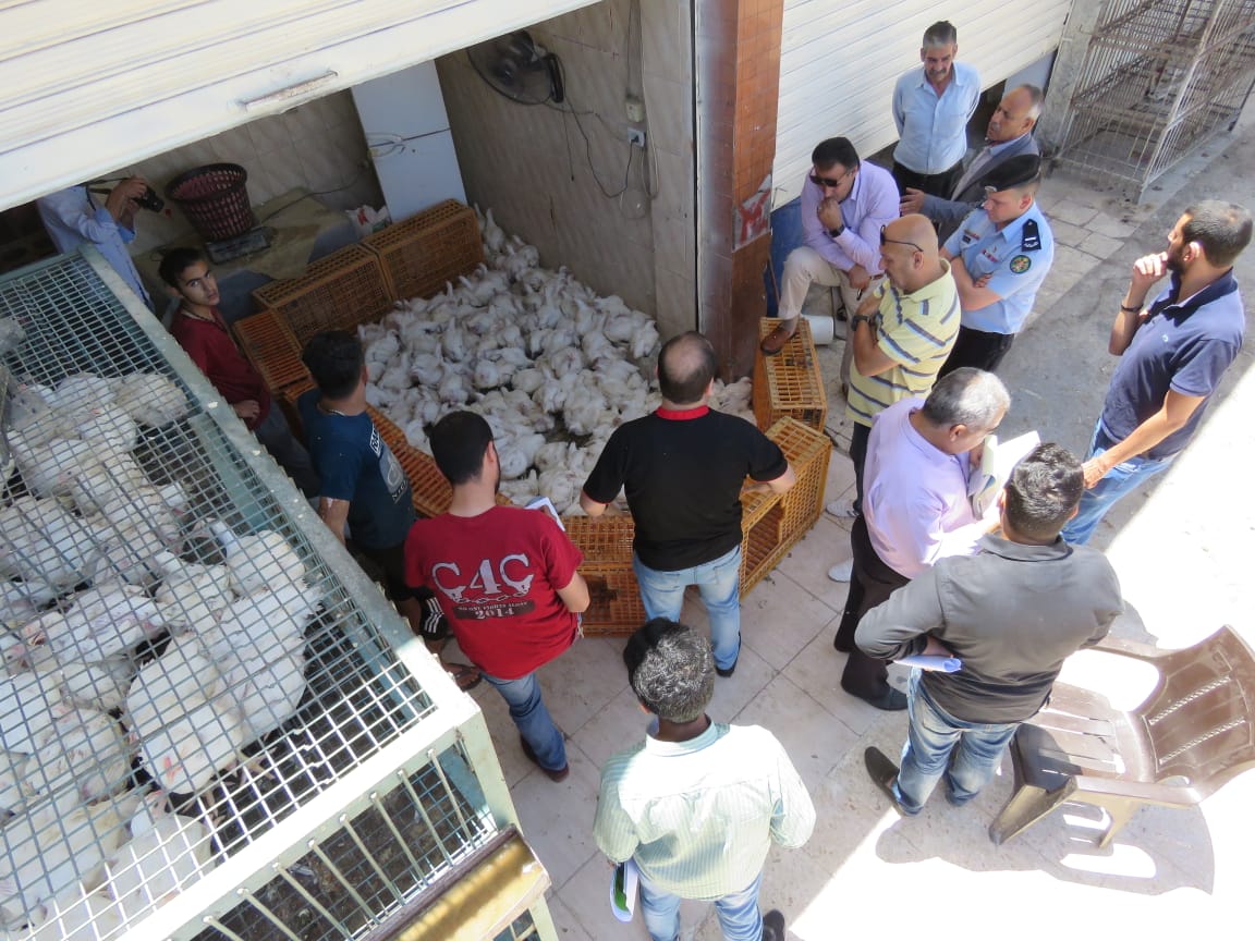 تميز لمشاغل ومعارض ألبان و إغلاق