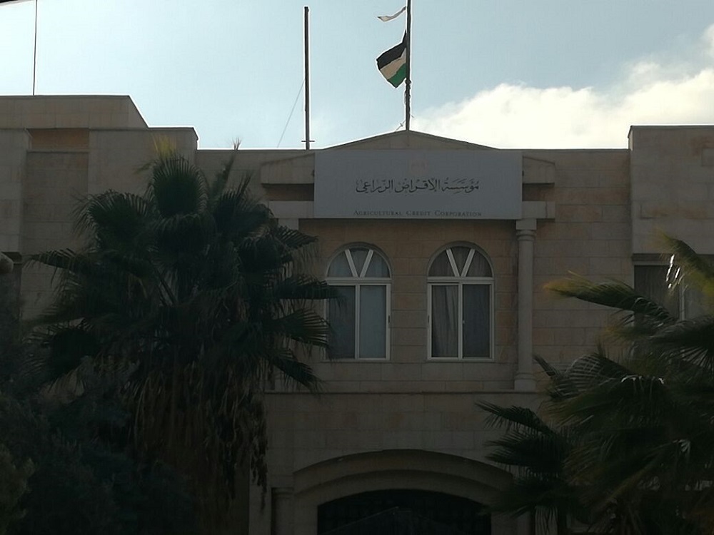 الحياري لـ العكروش: فقدت وظيفتك